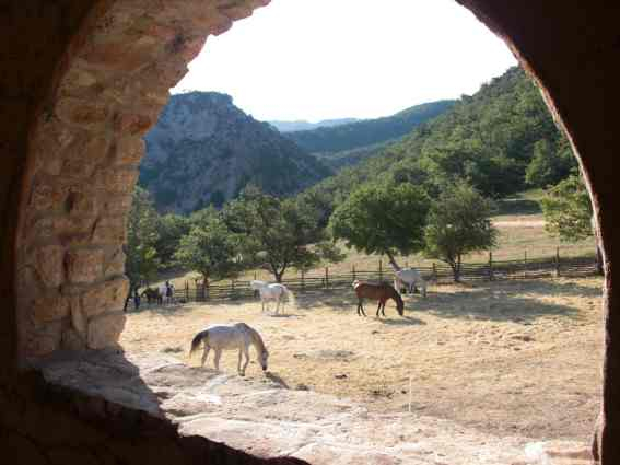 semaine a cheval provence