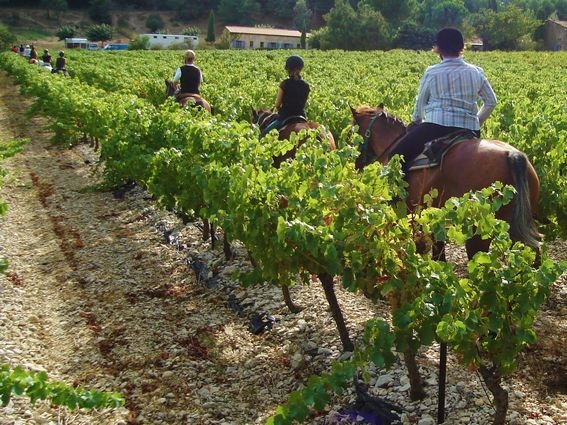 randonnee a cheval en provence