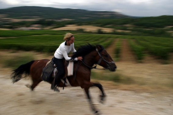 rando cheval provence