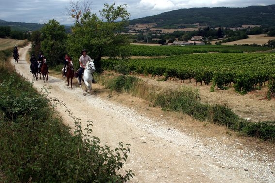 rando cheval luberon