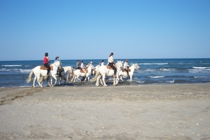 vacances a cheval en camargue