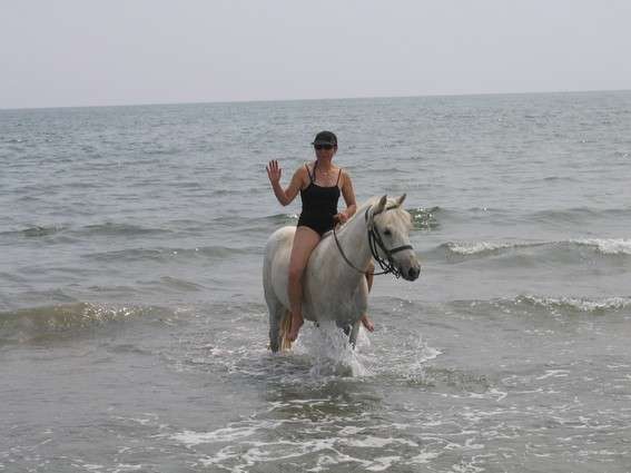 plages de camargue a cheval