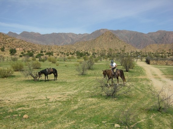 voyage a cheval au maroc