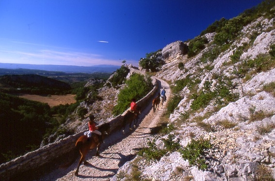 rando a cheval haute provence