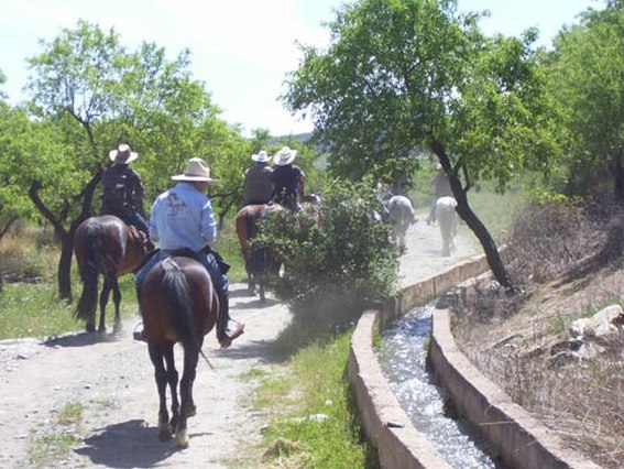 randonnee equestre Andalousie