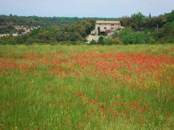 rando a cheval Drome provencale