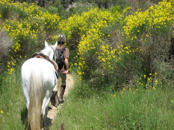 randonnee a cheval sainte victoire