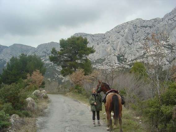 provence a cheval