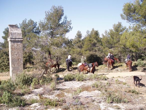 rando equestre en provence