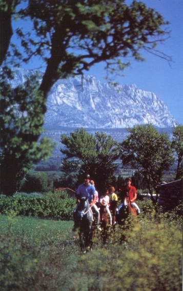 cheval en provence