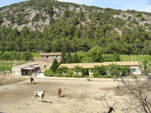 randonnee a cheval provence