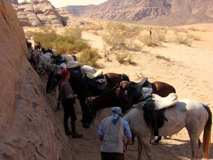 rando a cheval en jordanie