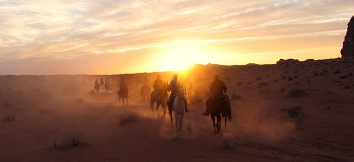 cheval en jordanie