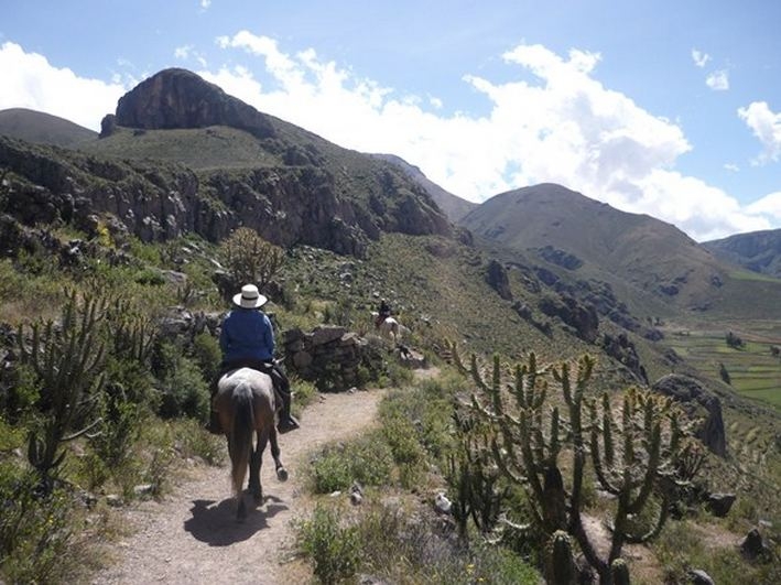 randonnee a cheval au perou