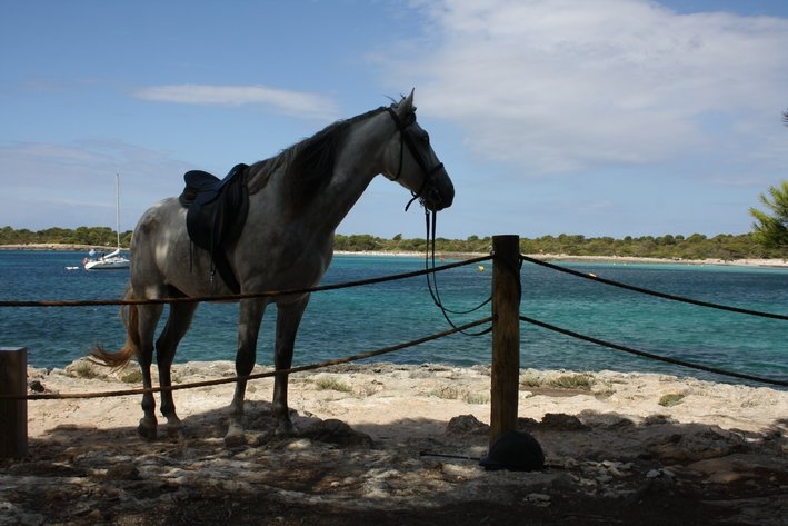 rando a cheval Minorque