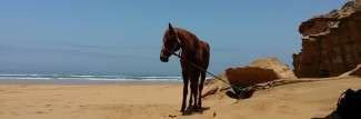 randonnée a cheval au maroc