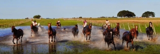 randonnee a cheval en argentine