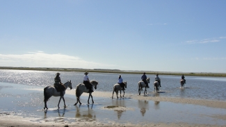 Horse riding in Brazil