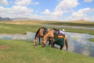 randonnée à cheval en Mongolie