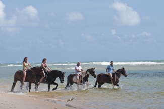 Randonnée à cheval au Bresil