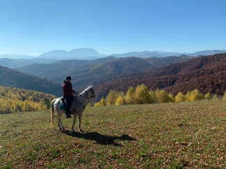 rando cheval Roumanie