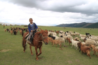rando en Mongolie