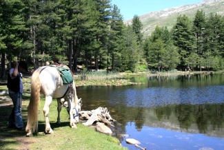 rando cheval Corse