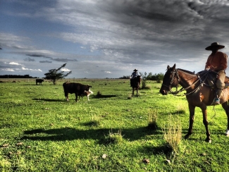 a cheval avec les gauchos en argentine