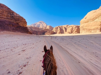 rando a cheval en jordanie