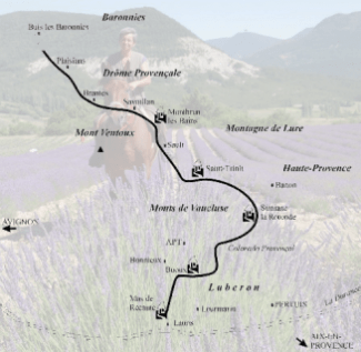 route de la lavande a cheval