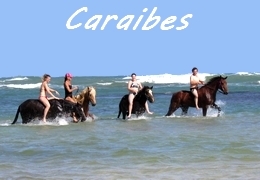 rando à cheval Caraibes - République Dominicaine et Costa Rica