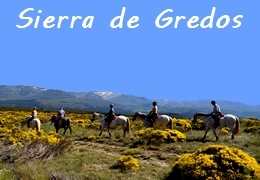 equestrian trip in Spain