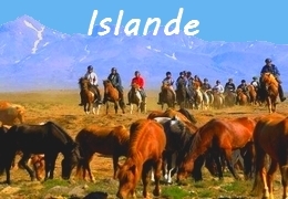 Voyages à cheval en Islande