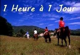 Promenades à cheval en Provence - Balades à cheval de 1h à la journée dans le sud du Luberon