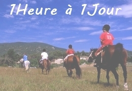 Promenades à cheval en Provence - Balades à cheval de 1h à la journée dans le sud du Luberon