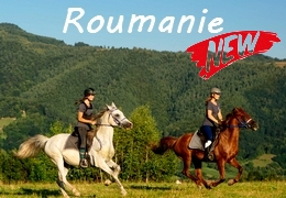 rando cheval en Roumanie