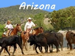 Arizona à cheval