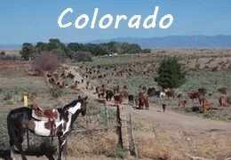 A cheval dans le Colorado