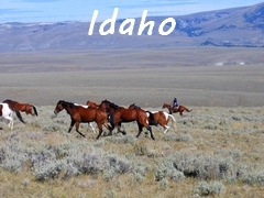 rando a cheval USA