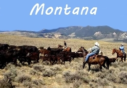 A cheval dans le Montana
