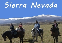 Randonnée à cheval en Andalousie
