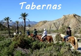 Andalousie à cheval Désert de Tabernas