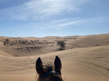 Randonnée  a cheval Maroc