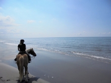 randonnée à cheval en Camargue