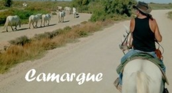 Camargue à Cheval - Randonnées équestres à la semaine et week-end à cheval.