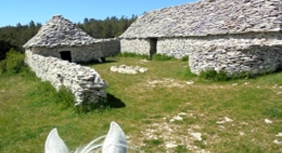 randonnée à cheval en haute Provence