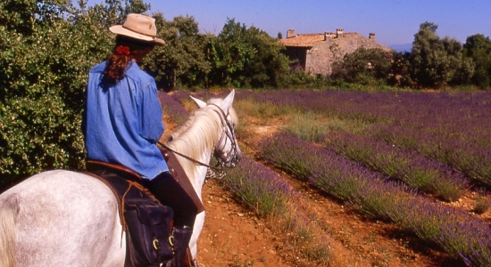 voyage a cheval itinérant